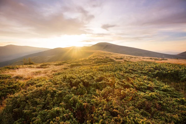 Bellissimi Paesaggi Naturali Nelle Montagne Dei Carpazi — Foto Stock