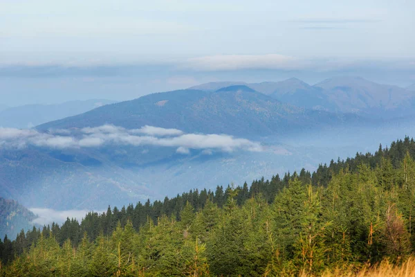 Prachtige Natuurlijke Landschappen Karpaten — Stockfoto