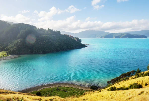 Gyönyörű Tájak Ocean Beach Zéland Inspiráló Természeti Utazási Háttér — Stock Fotó