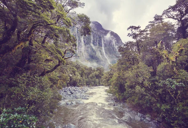 Rivière Nouvelle Zélande Dans Jungle Beaux Paysages Montagnes — Photo