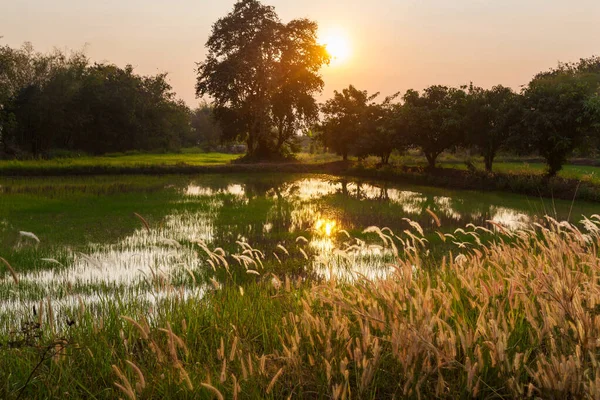 Paisagens Rurais Norte Tailândia — Fotografia de Stock