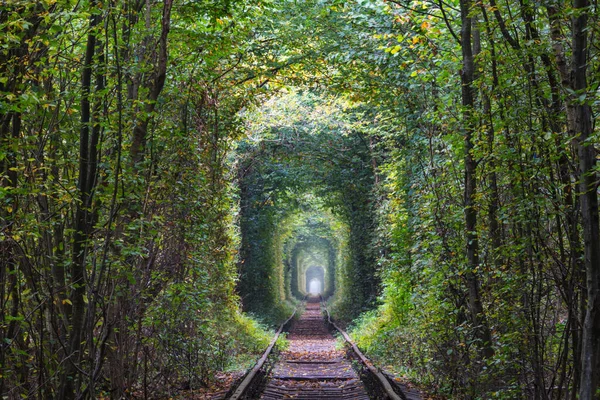 初秋のトンネル — ストック写真