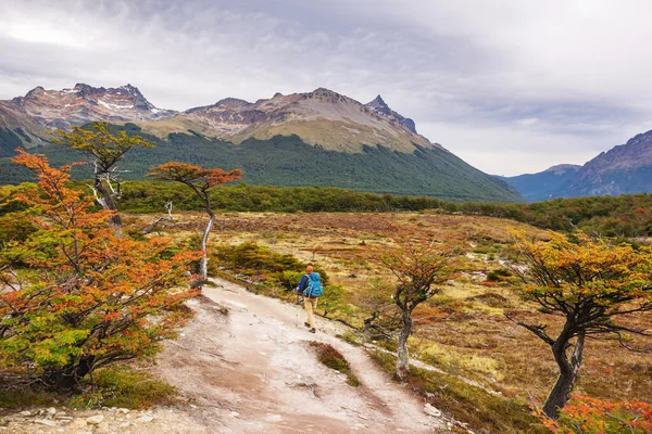 Herfstseizoen Patagonië Zuid Amerika Argentinië — Stockfoto