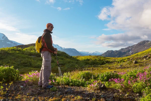 Caminhando Homem Nas Montanhas Canadenses Caminhada Atividade Recreação Popular América — Fotografia de Stock