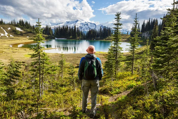 Immagine Lago Picco Del Ghiacciaio Washington Usa — Foto Stock