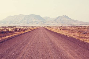 Afrika çalılıklarında çakıl yolu, Namibya