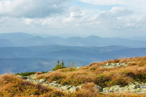 Belas Paisagens Naturais Nas Montanhas Dos Cárpatos — Fotografia de Stock