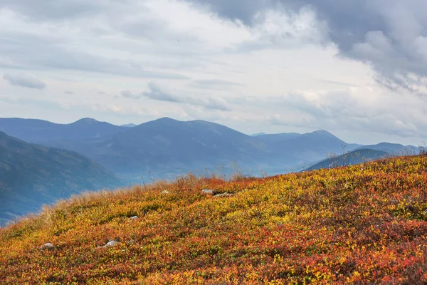 Vackra Naturlandskap Karpaterna — Stockfoto