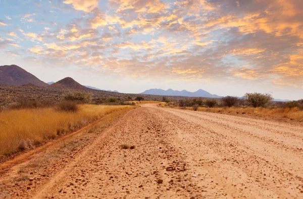 Carretera Grava Arbusto Africano Namibia —  Fotos de Stock