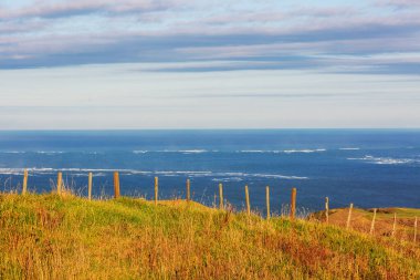 Ocean Beach, Yeni Zelanda 'da güzel manzaralar var. İlham verici doğal ve seyahat geçmişi