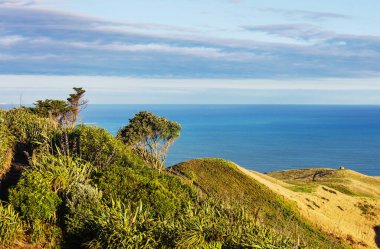Ocean Beach, Yeni Zelanda 'da güzel manzaralar var. İlham verici doğal ve seyahat geçmişi