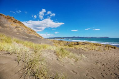 Ocean Beach, Yeni Zelanda 'da güzel manzaralar var. İlham verici doğal ve seyahat geçmişi