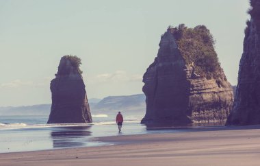 Ocean Beach, Yeni Zelanda 'da güzel manzaralar var. İlham verici doğal ve seyahat geçmişi