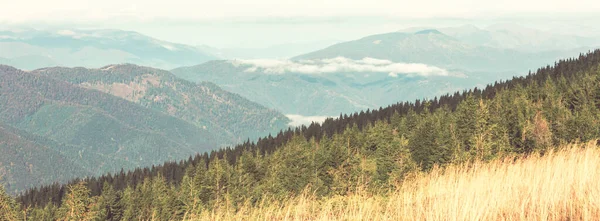 Prachtige Natuurlijke Landschappen Karpaten — Stockfoto