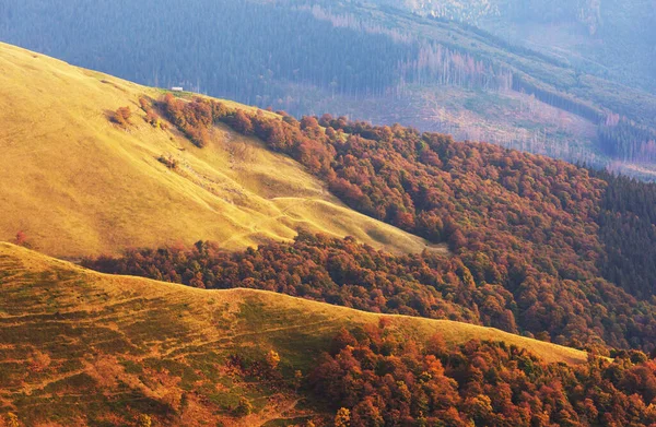 Bellissimi Paesaggi Naturali Nelle Montagne Dei Carpazi — Foto Stock