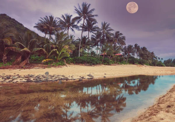 Нічна Сцена Тропічному Пляжі Гаваї Кауаї — стокове фото