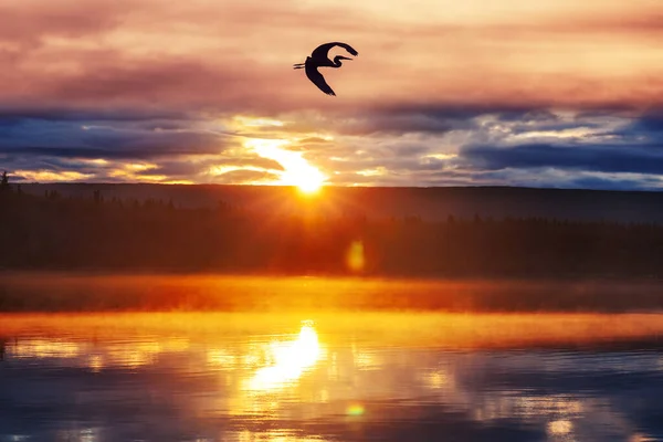 Sonnenuntergang Szene Auf Dem See Bei Sonnenuntergang Herbst Naturlandschaften — Stockfoto