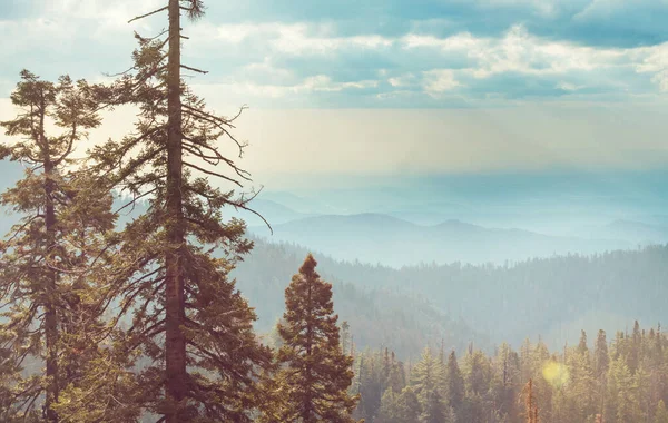 Silhouette Montagna California Usa — Foto Stock