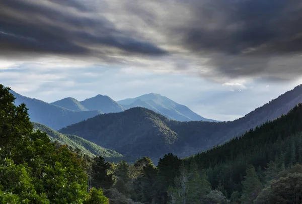 Prachtig Landelijk Landschap Van Nieuw Zeeland Bij Zonsopgang — Stockfoto