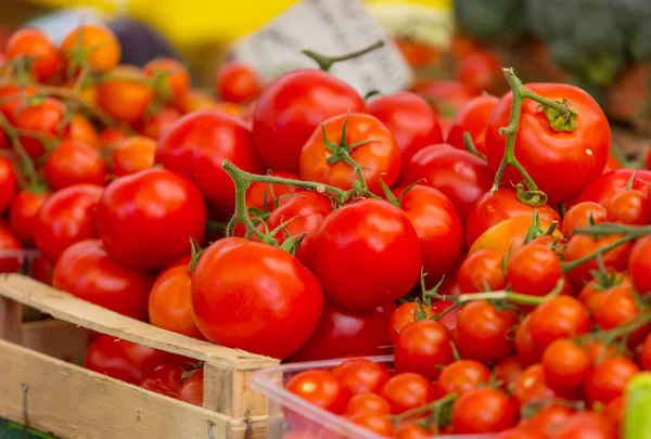 Delicious Red Tomatoes Street Market — Stock Photo, Image