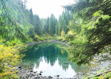 Karpat dağlarında güzel sisli göl