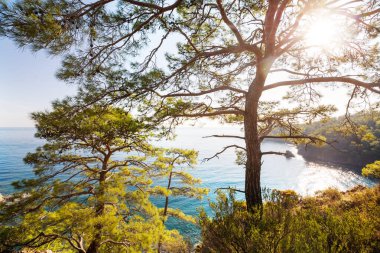 Türkiye 'nin güzel deniz kıyıları. Lycian yürüyüşü boyunca şaşırtıcı doğal manzaralar..