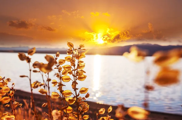 Der Schöne See Der Herbstsaison — Stockfoto