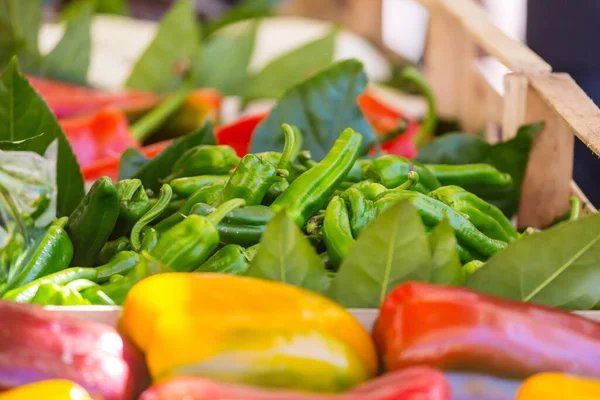 Vörös Chili Utcai Piacon Mexikó — Stock Fotó