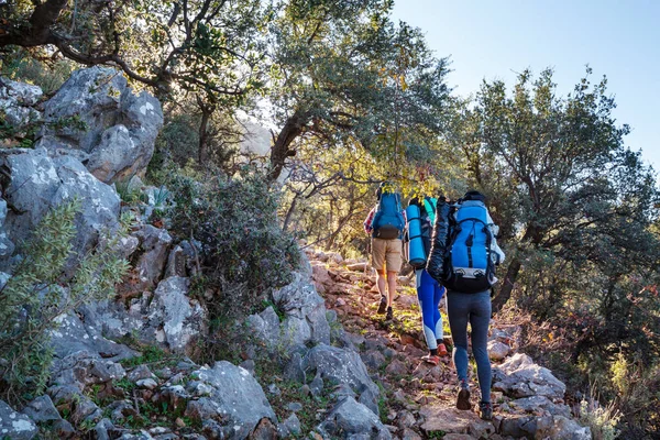 Grupo Mochileiros Caminhadas Montanhas Livre Estilo Vida Ativo Viagem Aventura — Fotografia de Stock