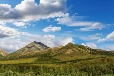Yazın Alaska 'nın Picturesque Dağları. Karla kaplı kütleler, buzullar ve kayalık tepeler.