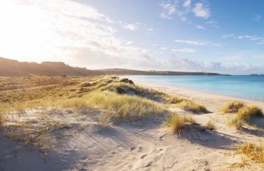 Ocean Beach, Yeni Zelanda 'da güzel manzaralar var. İlham verici doğal ve seyahat geçmişi