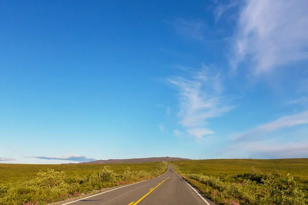 Paesaggi Sull Autostrada Denali Alaska — Foto Stock