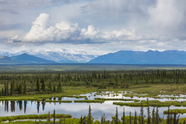 Serenity lake in Alaskan tundra