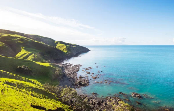 Beautiful landscapes it the Ocean Beach, New Zealand. Inspiring natural and travel background