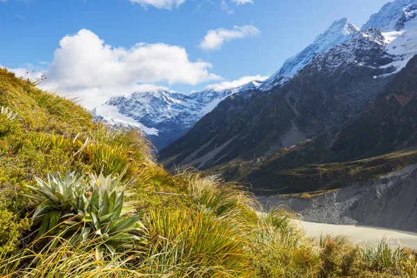 Beautiful Natural Landscapes Mount Cook National Park South Island New — Stock Photo, Image