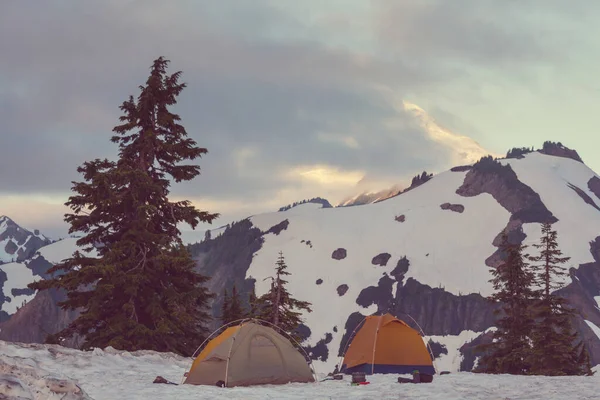 Hiking Tent Mountains Summer Season — Stock Photo, Image