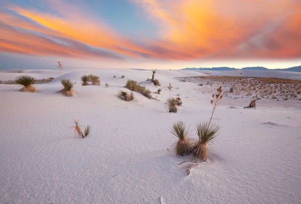 Dunas Arena Blanca Inusuales White Sands National Monument Nuevo México — Foto de Stock