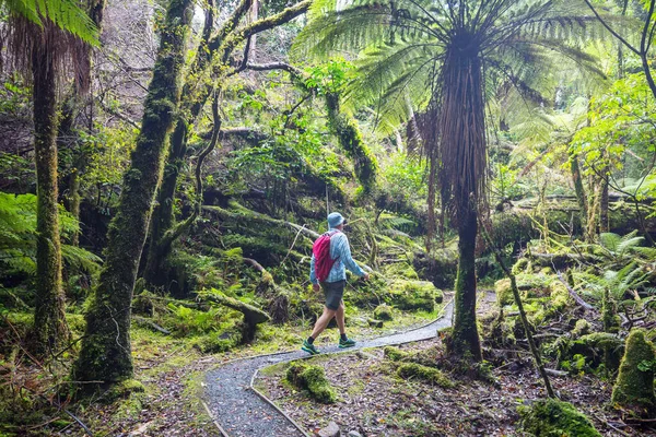 Homme Marchant Sur Sentier Randonnée Avec Parc National Mont Cook — Photo