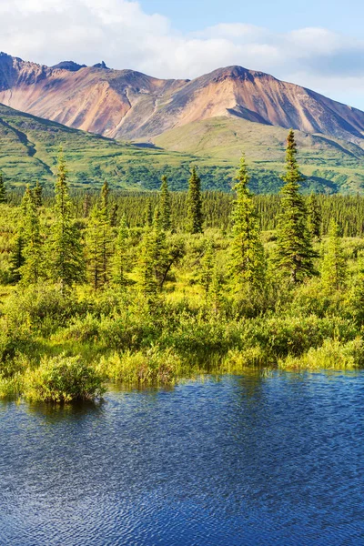 Lugn Sjö Alaska Tundra — Stockfoto