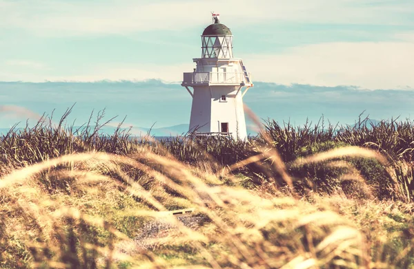 Phare Dans Côte Pacifique Nouvelle Zélande — Photo