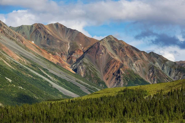 夏にアラスカの絵のような山 雪に覆われた大規模な氷河や岩のピーク — ストック写真