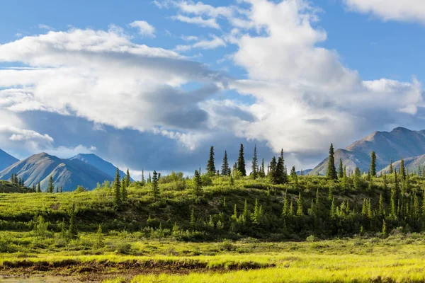 Alaszka Festői Hegyei Nyáron Hóval Borított Tömegek Gleccserek Sziklás Csúcsok — Stock Fotó