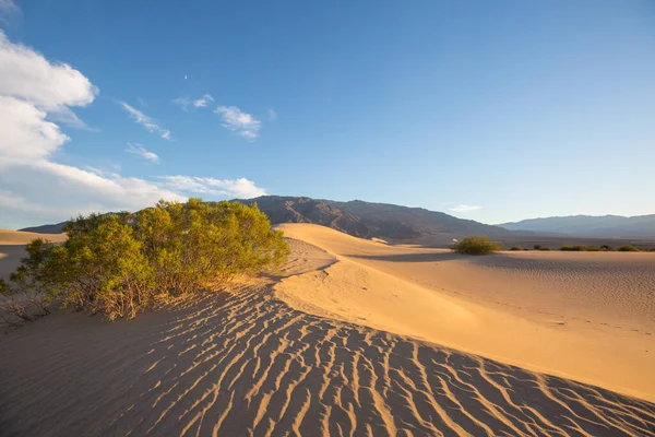 美国加利福尼亚的沙丘 美丽的自然景观旅行日出背景 — 图库照片