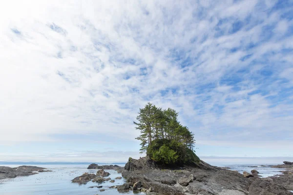 Havsstrand Vancouver Island British Columbia Kanada — Stockfoto