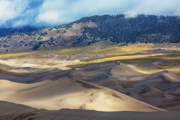 Осінній Сезон Національному Парку Great Sand Dunes Колорадо Сша — стокове фото