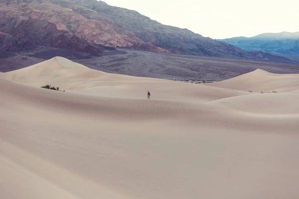 Caminhante Deserto Areia Hora Nascer Sol — Fotografia de Stock