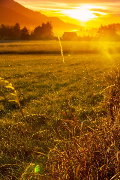 Schöne Ländliche Landschaft Wiese Bei Sonnenaufgang — Stockfoto