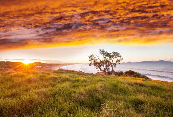 Schöne Landschaften Ocean Beach Neuseeland Inspirierender Natur Und Reisehintergrund — Stockfoto