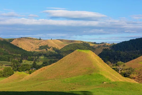 Gündoğumunda Yeni Zelanda Nın Güzel Kırsal Manzarası — Stok fotoğraf