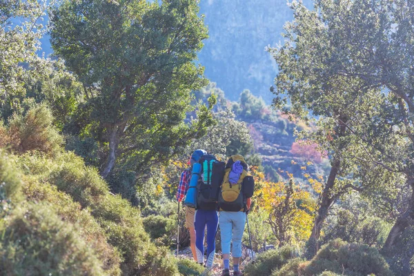 Groep Backpackers Wandelen Bergen Outdoor Actieve Levensstijl Reizen Avontuur Vakanties — Stockfoto